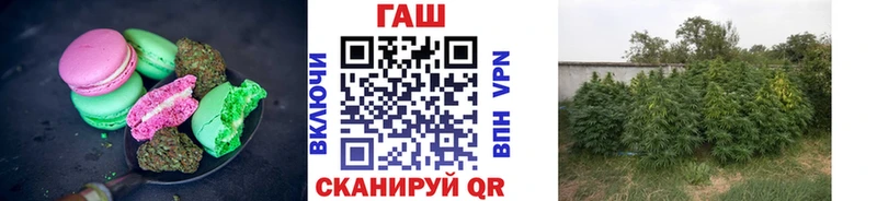 где можно купить   Салаир  даркнет клад  Canna-Cookies марихуана 