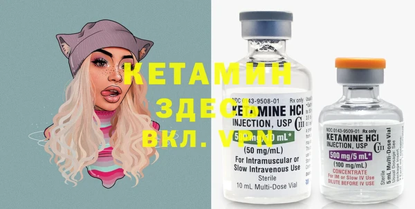 шишки Армянск