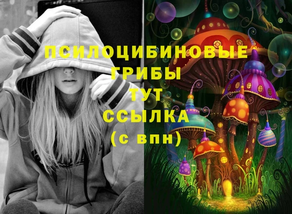 шишки Армянск