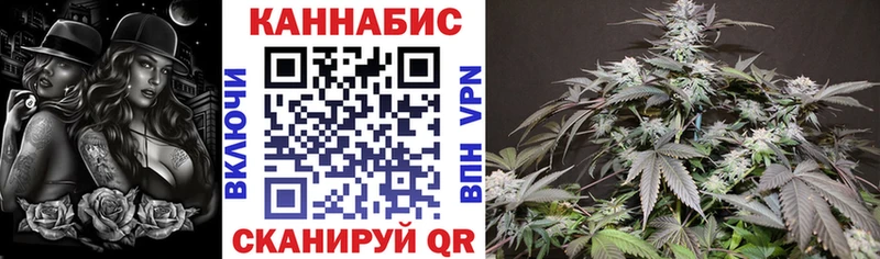 Канабис конопля Салаир